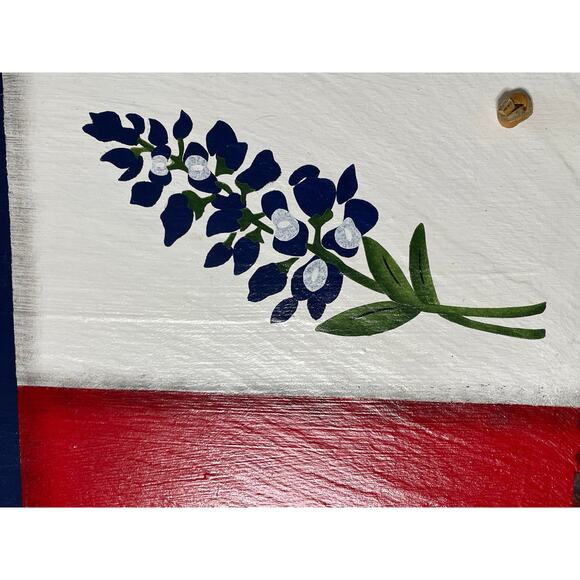 Texas Home Decor Unique Artwork - Picture 5 of 16